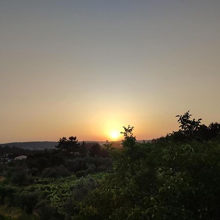 R3 - Guesthouse Travessa Da Arieira Aguda (Leiria) Kültér fotó